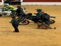 Guardia Civil